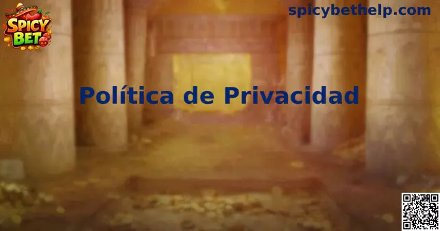Spicy Bet privacidad y seguridad